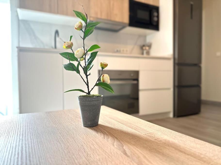 Apartamentos Rincon Andaluz 4 코르도바 외부 사진